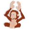 Word trek Orangutan